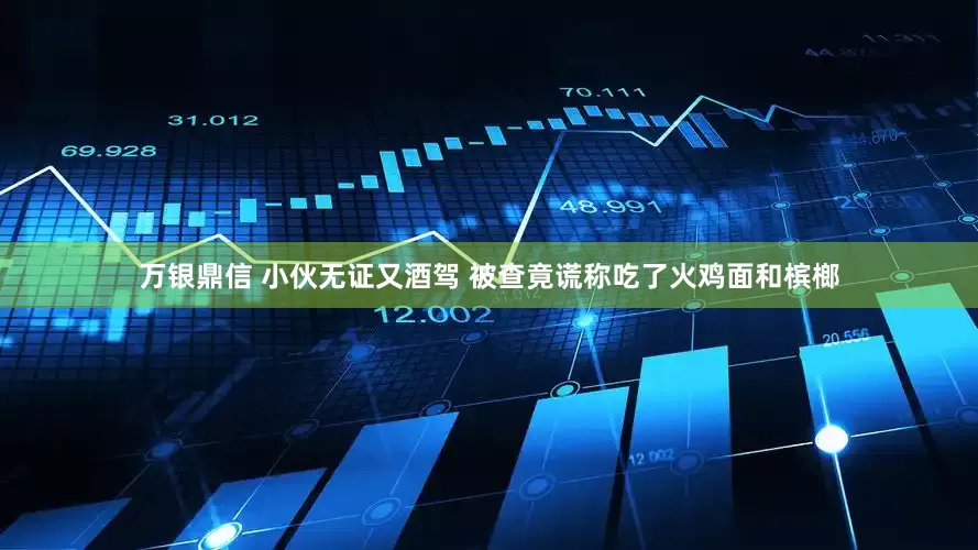 万银鼎信 小伙无证又酒驾 被查竟谎称吃了火鸡面和槟榔