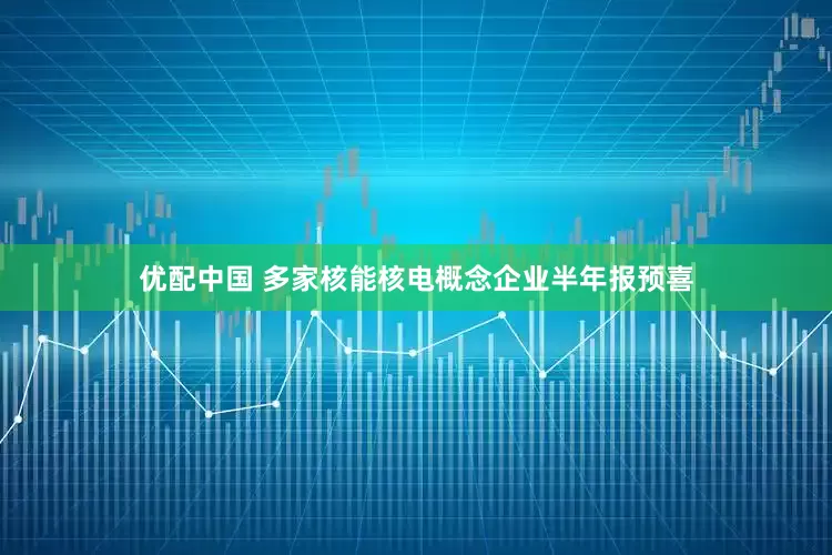 优配中国 多家核能核电概念企业半年报预喜