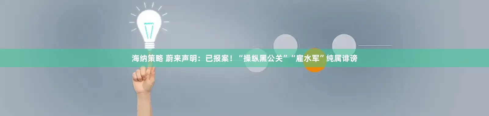 海纳策略 蔚来声明：已报案！“操纵黑公关”“雇水军”纯属诽谤